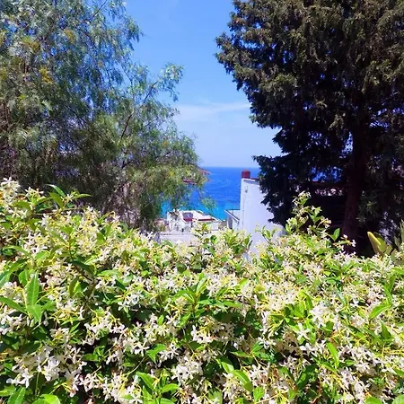 فندق Life Butiq *