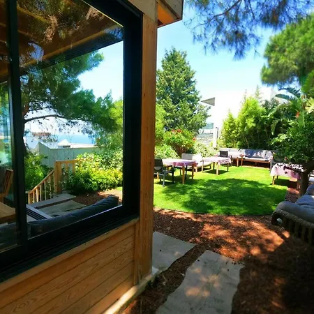 Life Butiq يالِكافاك