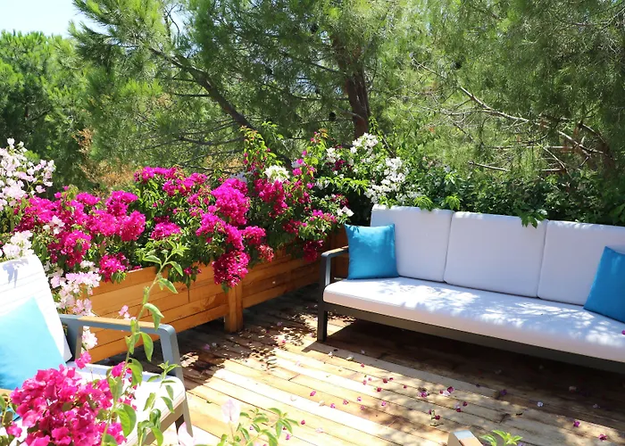 Отель Life Butiq